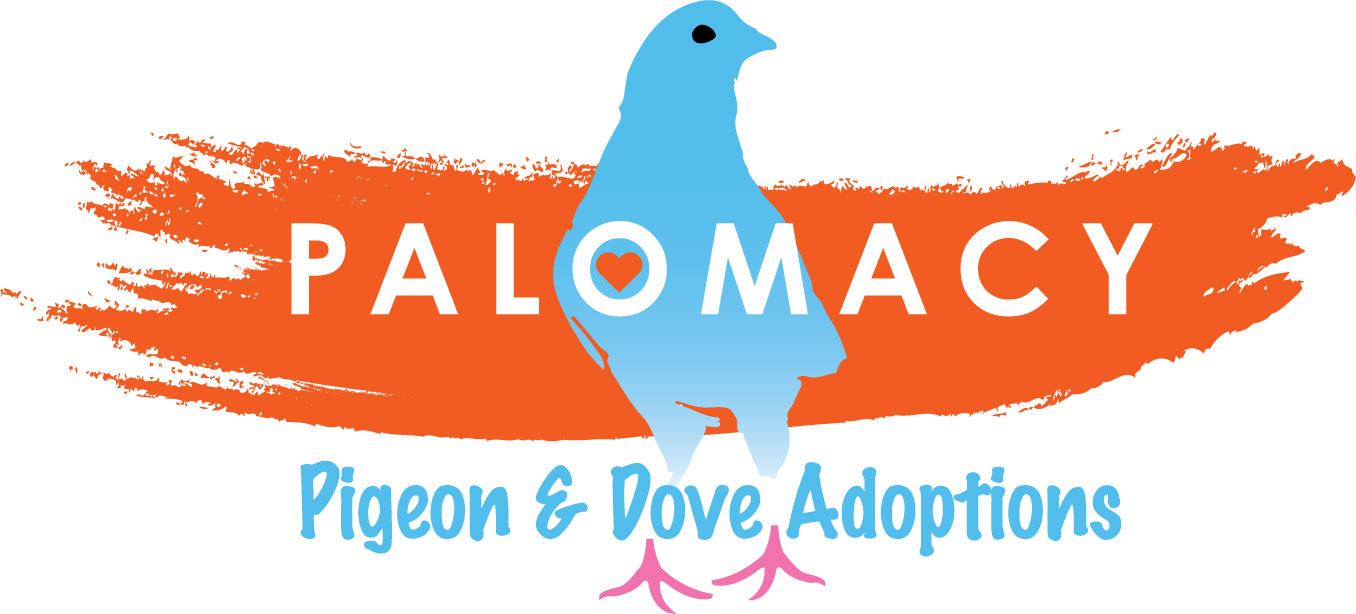 World Peace Chocolate